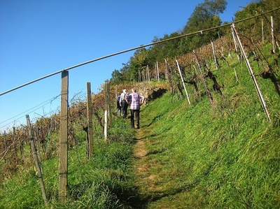 Traminerweg Klöch