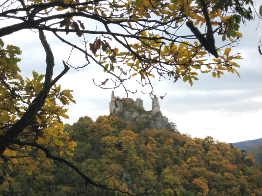 Der Vogelbergsteig