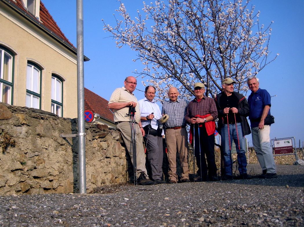 Erste Blüten in der Wachau . . .