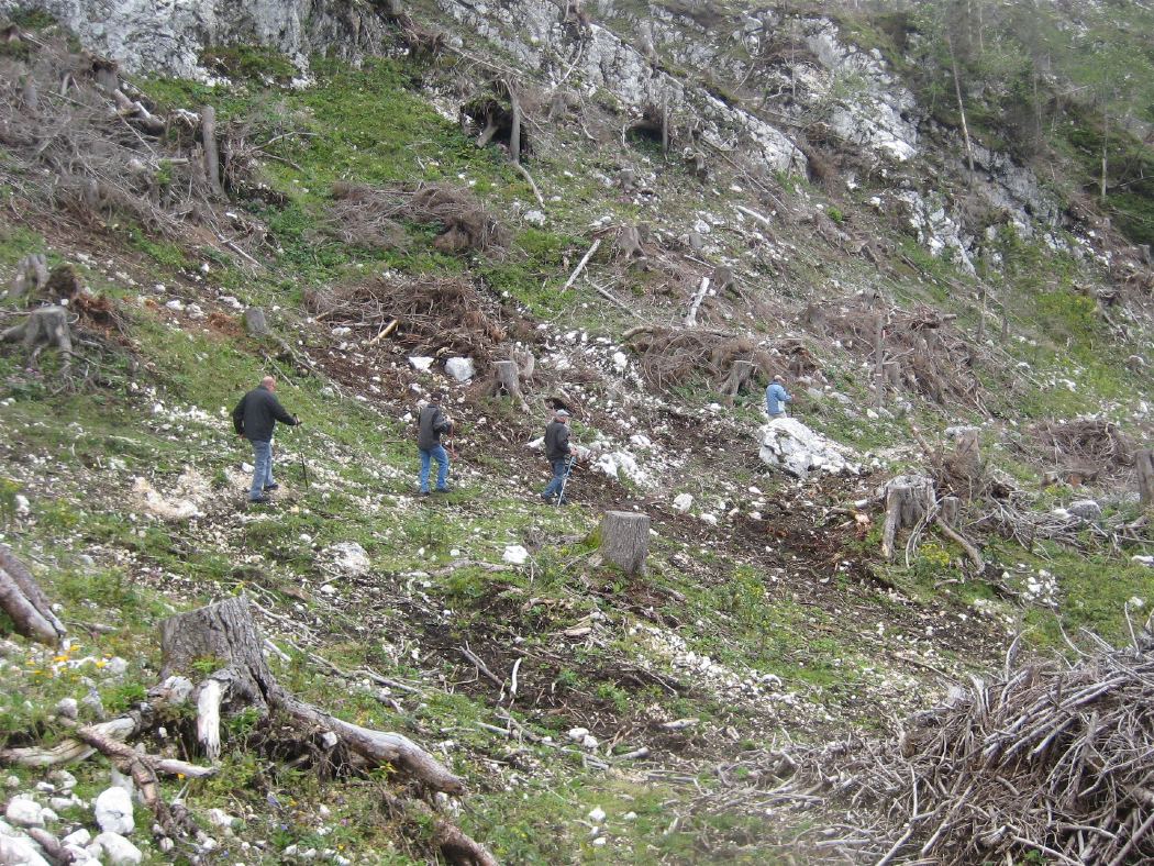 Von der Ybbstalerhütte zum Noten