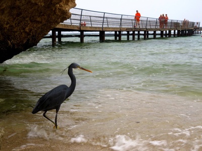 Ein neuer am Strand