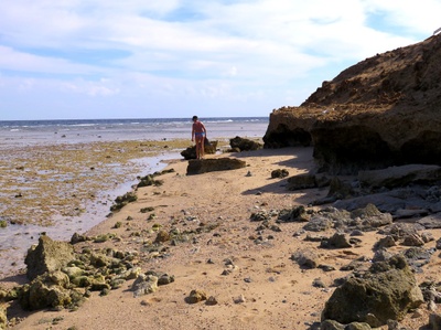 Sea Walk , Ebbe bei Vollmond