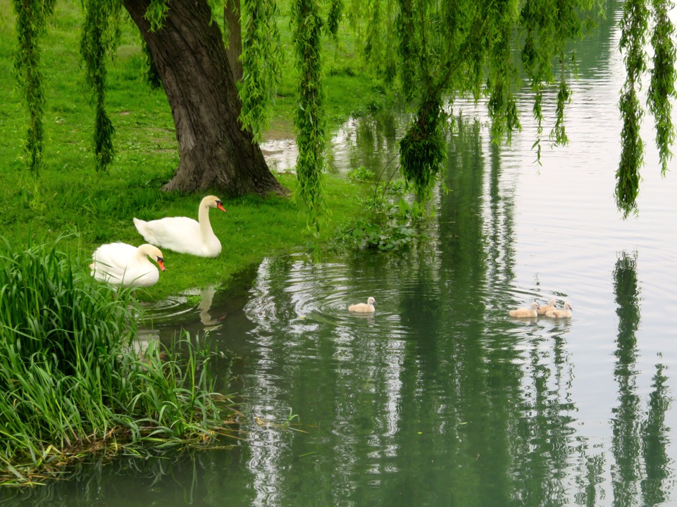 erster Familienausflug